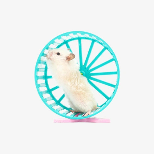 Hamster wheel