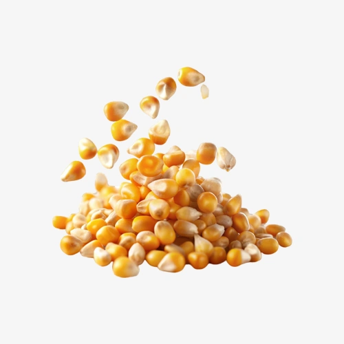 Yellow corn
